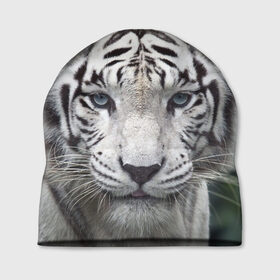 Шапка 3D с принтом Белый тигр в Санкт-Петербурге, 100% полиэстер | универсальный размер, печать по всей поверхности изделия | animal | jungle | look | predator | tiger | white | wild | белый | взгляд | джунгли | дикий | животное | тигр | хищник