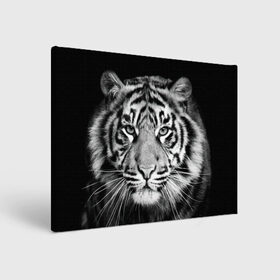 Холст прямоугольный с принтом Тигр в Санкт-Петербурге, 100% ПВХ |  | animal | black   white | look | predator | tiger | wild | взгляд | дикий | животное | тигр | хищник | черно   белый
