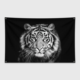 Флаг-баннер с принтом Тигр в Санкт-Петербурге, 100% полиэстер | размер 67 х 109 см, плотность ткани — 95 г/м2; по краям флага есть четыре люверса для крепления | animal | black   white | look | predator | tiger | wild | взгляд | дикий | животное | тигр | хищник | черно   белый