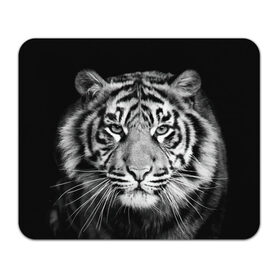Коврик прямоугольный с принтом Тигр в Санкт-Петербурге, натуральный каучук | размер 230 х 185 мм; запечатка лицевой стороны | animal | black   white | look | predator | tiger | wild | взгляд | дикий | животное | тигр | хищник | черно   белый