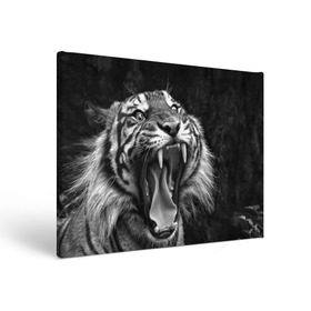 Холст прямоугольный с принтом Тигр в Санкт-Петербурге, 100% ПВХ |  | animal | black   white | fangs | jaws | jungle | predator | teeth | tiger | wild | джунгли | дикий | животное | клыки | оскал | пасть | тигр | хищник | черно   белый