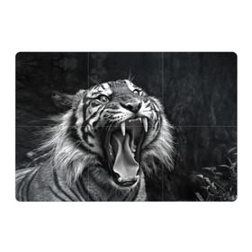 Магнитный плакат 3Х2 с принтом Тигр в Санкт-Петербурге, Полимерный материал с магнитным слоем | 6 деталей размером 9*9 см | animal | black   white | fangs | jaws | jungle | predator | teeth | tiger | wild | джунгли | дикий | животное | клыки | оскал | пасть | тигр | хищник | черно   белый