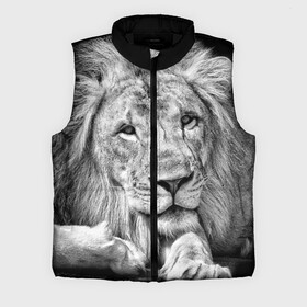 Мужской жилет утепленный 3D с принтом Лев в Санкт-Петербурге,  |  | animal | black   white | king | lies | lion | look | predator | wild | взгляд | дикий | животное | зверь | лев | лежит | хищник | царь | черно   белый