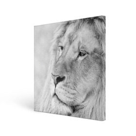 Холст квадратный с принтом Лев в Санкт-Петербурге, 100% ПВХ |  | animal | black   white | king | lion | look | predator | wild | взгляд | дикий | животное | зверь | лев | хищник | царь | черно   белый