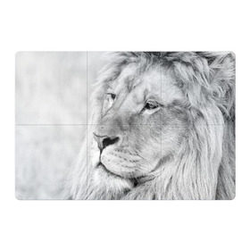 Магнитный плакат 3Х2 с принтом Лев в Санкт-Петербурге, Полимерный материал с магнитным слоем | 6 деталей размером 9*9 см | animal | black   white | king | lion | look | predator | wild | взгляд | дикий | животное | зверь | лев | хищник | царь | черно   белый
