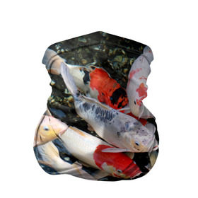 Бандана-труба 3D с принтом Koi Fish (карпы кои) в Санкт-Петербурге, 100% полиэстер, ткань с особыми свойствами — Activecool | плотность 150‒180 г/м2; хорошо тянется, но сохраняет форму | Тематика изображения на принте: bright | brocade | carp | color | decorative | depth | exotic | fish | koi | koi fish | sea | water | вода | глубина | декоративные | карпы | кои | море | парчовый | рыбки | цвет | экзотические | яркий