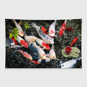 Флаг-баннер с принтом Koi Fish (карпы кои) в Санкт-Петербурге, 100% полиэстер | размер 67 х 109 см, плотность ткани — 95 г/м2; по краям флага есть четыре люверса для крепления | bright | brocade | carp | color | decorative | depth | exotic | fish | koi | koi fish | sea | water | вода | глубина | декоративные | карпы | кои | море | парчовый | рыбки | цвет | экзотические | яркий