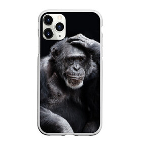 Чехол для iPhone 11 Pro матовый с принтом ЕГЭ в Санкт-Петербурге, Силикон |  | егэ | обезьяна | шимпанзе | школа | экзамен | экзамены