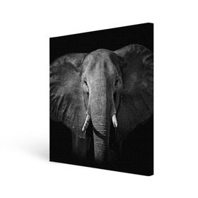 Холст квадратный с принтом Слон в Санкт-Петербурге, 100% ПВХ |  | animal | big | black   white | elephant | wild | большой | дикий | животное | слон | черно   белый