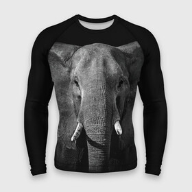 Мужской рашгард 3D с принтом Слон в Санкт-Петербурге,  |  | animal | big | black   white | elephant | wild | большой | дикий | животное | слон | черно   белый