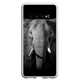 Чехол для Samsung Galaxy S10 с принтом Слон в Санкт-Петербурге, Силикон | Область печати: задняя сторона чехла, без боковых панелей | Тематика изображения на принте: animal | big | black   white | elephant | wild | большой | дикий | животное | слон | черно   белый