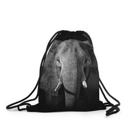 Рюкзак-мешок 3D с принтом Слон в Санкт-Петербурге, 100% полиэстер | плотность ткани — 200 г/м2, размер — 35 х 45 см; лямки — толстые шнурки, застежка на шнуровке, без карманов и подкладки | animal | big | black   white | elephant | wild | большой | дикий | животное | слон | черно   белый