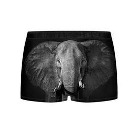 Мужские трусы 3D с принтом Слон в Санкт-Петербурге, 50% хлопок, 50% полиэстер | классическая посадка, на поясе мягкая тканевая резинка | animal | big | black   white | elephant | wild | большой | дикий | животное | слон | черно   белый