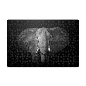 Пазл магнитный 126 элементов с принтом Слон в Санкт-Петербурге, полимерный материал с магнитным слоем | 126 деталей, размер изделия —  180*270 мм | animal | big | black   white | elephant | wild | большой | дикий | животное | слон | черно   белый