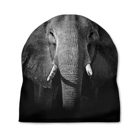 Шапка 3D с принтом Слон в Санкт-Петербурге, 100% полиэстер | универсальный размер, печать по всей поверхности изделия | animal | big | black   white | elephant | wild | большой | дикий | животное | слон | черно   белый