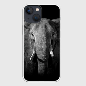 Чехол для iPhone 13 mini с принтом Слон в Санкт-Петербурге,  |  | animal | big | black   white | elephant | wild | большой | дикий | животное | слон | черно   белый