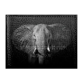 Обложка для студенческого билета с принтом Слон в Санкт-Петербурге, натуральная кожа | Размер: 11*8 см; Печать на всей внешней стороне | Тематика изображения на принте: animal | big | black   white | elephant | wild | большой | дикий | животное | слон | черно   белый