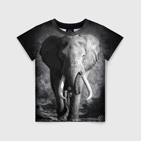 Детская футболка 3D с принтом Слон в Санкт-Петербурге, 100% гипоаллергенный полиэфир | прямой крой, круглый вырез горловины, длина до линии бедер, чуть спущенное плечо, ткань немного тянется | africa | animal | big | black   white | elephant | go | road | savannah | wild | африка | большой | дикий | дорога | животное | идет | саванна | слон | черно   белый