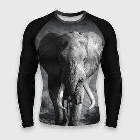 Мужской рашгард 3D с принтом Слон в Санкт-Петербурге,  |  | africa | animal | big | black   white | elephant | go | road | savannah | wild | африка | большой | дикий | дорога | животное | идет | саванна | слон | черно   белый