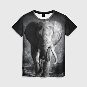 Женская футболка 3D с принтом Слон в Санкт-Петербурге, 100% полиэфир ( синтетическое хлопкоподобное полотно) | прямой крой, круглый вырез горловины, длина до линии бедер | africa | animal | big | black   white | elephant | go | road | savannah | wild | африка | большой | дикий | дорога | животное | идет | саванна | слон | черно   белый
