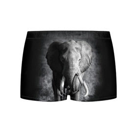 Мужские трусы 3D с принтом Слон в Санкт-Петербурге, 50% хлопок, 50% полиэстер | классическая посадка, на поясе мягкая тканевая резинка | africa | animal | big | black   white | elephant | go | road | savannah | wild | африка | большой | дикий | дорога | животное | идет | саванна | слон | черно   белый