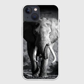 Чехол для iPhone 13 с принтом Слон в Санкт-Петербурге,  |  | africa | animal | big | black   white | elephant | go | road | savannah | wild | африка | большой | дикий | дорога | животное | идет | саванна | слон | черно   белый