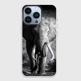 Чехол для iPhone 13 Pro с принтом Слон в Санкт-Петербурге,  |  | Тематика изображения на принте: africa | animal | big | black   white | elephant | go | road | savannah | wild | африка | большой | дикий | дорога | животное | идет | саванна | слон | черно   белый