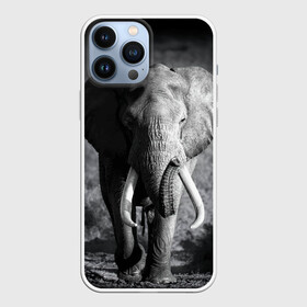 Чехол для iPhone 13 Pro Max с принтом Слон в Санкт-Петербурге,  |  | africa | animal | big | black   white | elephant | go | road | savannah | wild | африка | большой | дикий | дорога | животное | идет | саванна | слон | черно   белый