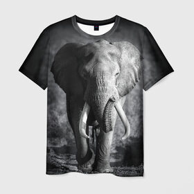 Мужская футболка 3D с принтом Слон в Санкт-Петербурге, 100% полиэфир | прямой крой, круглый вырез горловины, длина до линии бедер | africa | animal | big | black   white | elephant | go | road | savannah | wild | африка | большой | дикий | дорога | животное | идет | саванна | слон | черно   белый