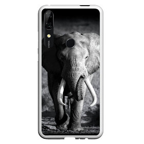 Чехол для Honor P Smart Z с принтом Слон в Санкт-Петербурге, Силикон | Область печати: задняя сторона чехла, без боковых панелей | Тематика изображения на принте: africa | animal | big | black   white | elephant | go | road | savannah | wild | африка | большой | дикий | дорога | животное | идет | саванна | слон | черно   белый