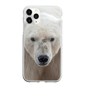 Чехол для iPhone 11 Pro матовый с принтом Белый медведь в Санкт-Петербурге, Силикон |  | animal | bear | eyes | head | north | polar | predator | white | wild | белый | взгляд | голова | дикий | животное | медведь | полярный | север | хищник