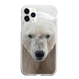 Чехол для iPhone 11 Pro Max матовый с принтом Белый медведь в Санкт-Петербурге, Силикон |  | animal | bear | eyes | head | north | polar | predator | white | wild | белый | взгляд | голова | дикий | животное | медведь | полярный | север | хищник
