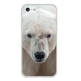 Чехол для iPhone 5/5S матовый с принтом Белый медведь в Санкт-Петербурге, Силикон | Область печати: задняя сторона чехла, без боковых панелей | animal | bear | eyes | head | north | polar | predator | white | wild | белый | взгляд | голова | дикий | животное | медведь | полярный | север | хищник