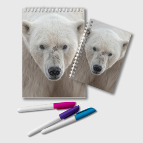 Блокнот с принтом Белый медведь в Санкт-Петербурге, 100% бумага | 48 листов, плотность листов — 60 г/м2, плотность картонной обложки — 250 г/м2. Листы скреплены удобной пружинной спиралью. Цвет линий — светло-серый
 | animal | bear | eyes | head | north | polar | predator | white | wild | белый | взгляд | голова | дикий | животное | медведь | полярный | север | хищник