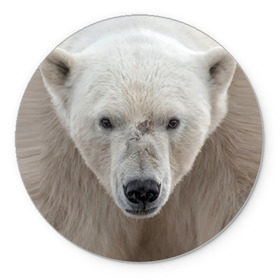 Коврик круглый с принтом Белый медведь в Санкт-Петербурге, резина и полиэстер | круглая форма, изображение наносится на всю лицевую часть | animal | bear | eyes | head | north | polar | predator | white | wild | белый | взгляд | голова | дикий | животное | медведь | полярный | север | хищник
