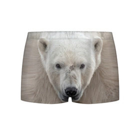 Мужские трусы 3D с принтом Белый медведь в Санкт-Петербурге, 50% хлопок, 50% полиэстер | классическая посадка, на поясе мягкая тканевая резинка | animal | bear | eyes | head | north | polar | predator | white | wild | белый | взгляд | голова | дикий | животное | медведь | полярный | север | хищник