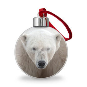 Ёлочный шар с принтом Белый медведь в Санкт-Петербурге, Пластик | Диаметр: 77 мм | animal | bear | eyes | head | north | polar | predator | white | wild | белый | взгляд | голова | дикий | животное | медведь | полярный | север | хищник