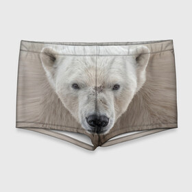 Мужские купальные плавки 3D с принтом Белый медведь в Санкт-Петербурге, Полиэстер 85%, Спандекс 15% |  | Тематика изображения на принте: animal | bear | eyes | head | north | polar | predator | white | wild | белый | взгляд | голова | дикий | животное | медведь | полярный | север | хищник