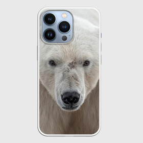 Чехол для iPhone 13 Pro с принтом Белый медведь в Санкт-Петербурге,  |  | animal | bear | eyes | head | north | polar | predator | white | wild | белый | взгляд | голова | дикий | животное | медведь | полярный | север | хищник