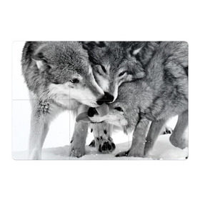 Магнитный плакат 3Х2 с принтом Волчья семья в Санкт-Петербурге, Полимерный материал с магнитным слоем | 6 деталей размером 9*9 см | animals | black   white | family | love | predators | wild | wolves | волки | дикие | животные | любовь | семья | хищники | черно   белый