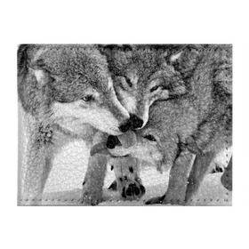 Обложка для студенческого билета с принтом Волчья семья в Санкт-Петербурге, натуральная кожа | Размер: 11*8 см; Печать на всей внешней стороне | animals | black   white | family | love | predators | wild | wolves | волки | дикие | животные | любовь | семья | хищники | черно   белый