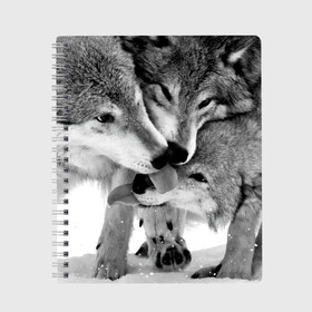 Тетрадь с принтом Волчья семья в Санкт-Петербурге, 100% бумага | 48 листов, плотность листов — 60 г/м2, плотность картонной обложки — 250 г/м2. Листы скреплены сбоку удобной пружинной спиралью. Уголки страниц и обложки скругленные. Цвет линий — светло-серый
 | animals | black   white | family | love | predators | wild | wolves | волки | дикие | животные | любовь | семья | хищники | черно   белый