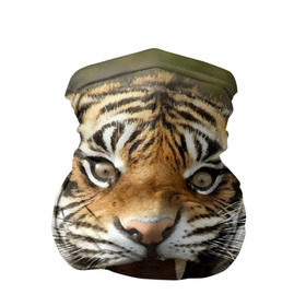Бандана-труба 3D с принтом Тигр в Санкт-Петербурге, 100% полиэстер, ткань с особыми свойствами — Activecool | плотность 150‒180 г/м2; хорошо тянется, но сохраняет форму | angry | animal | beast | jaws | predator | teeth | tiger | животное | зверь | злой | клыки | оскал | пасть | тигр | хищник