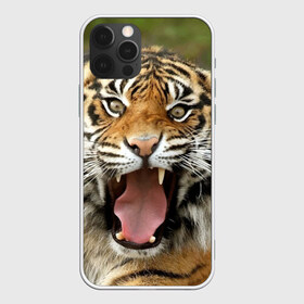 Чехол для iPhone 12 Pro Max с принтом Тигр в Санкт-Петербурге, Силикон |  | angry | animal | beast | jaws | predator | teeth | tiger | животное | зверь | злой | клыки | оскал | пасть | тигр | хищник