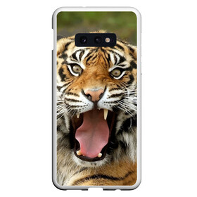 Чехол для Samsung S10E с принтом Тигр в Санкт-Петербурге, Силикон | Область печати: задняя сторона чехла, без боковых панелей | angry | animal | beast | jaws | predator | teeth | tiger | животное | зверь | злой | клыки | оскал | пасть | тигр | хищник