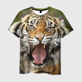 Мужская футболка 3D с принтом Тигр в Санкт-Петербурге, 100% полиэфир | прямой крой, круглый вырез горловины, длина до линии бедер | angry | animal | beast | jaws | predator | teeth | tiger | животное | зверь | злой | клыки | оскал | пасть | тигр | хищник