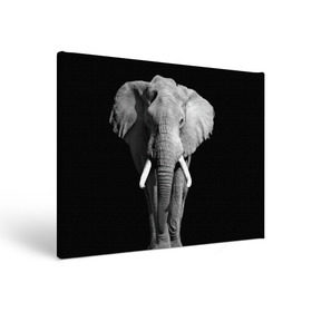 Холст прямоугольный с принтом Слон в Санкт-Петербурге, 100% ПВХ |  | Тематика изображения на принте: africa | big | black   white | elephant is an animal | shroud | tusks | африка | бивни | большой | животное | идет | савана | слон | черно   белый