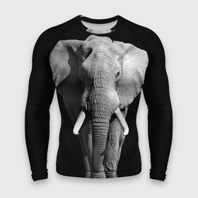Мужской рашгард 3D с принтом Слон в Санкт-Петербурге,  |  | africa | big | black   white | elephant is an animal | shroud | tusks | африка | бивни | большой | животное | идет | савана | слон | черно   белый