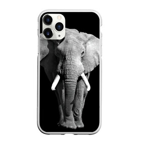 Чехол для iPhone 11 Pro Max матовый с принтом Слон в Санкт-Петербурге, Силикон |  | africa | big | black   white | elephant is an animal | shroud | tusks | африка | бивни | большой | животное | идет | савана | слон | черно   белый