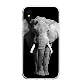Чехол для iPhone XS Max матовый с принтом Слон в Санкт-Петербурге, Силикон | Область печати: задняя сторона чехла, без боковых панелей | africa | big | black   white | elephant is an animal | shroud | tusks | африка | бивни | большой | животное | идет | савана | слон | черно   белый